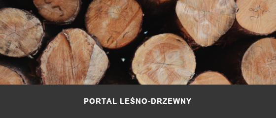 portal_lesno_drzewny